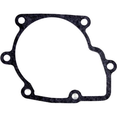 Extension Housing Gasket by PIONEER - 749093 pa1