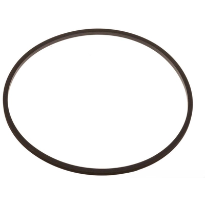 ACDELCO - 1358899 - Extension Housing Seal pa1