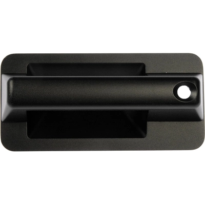 DORMAN - 760-5603 - Exterior Door Handle pa1