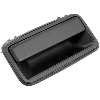 DORMAN - 77734 - Exterior Door Handle pa3