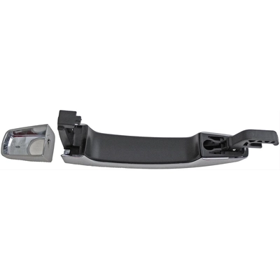 Exterior Door Handle by DORMAN - 79797 pa1