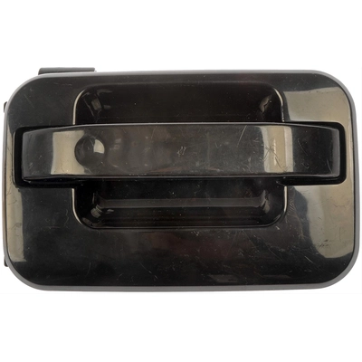 Exterior Door Handle by DORMAN - 80202 pa1