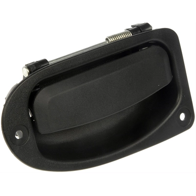 Exterior Door Handle by DORMAN - 80419 pa1