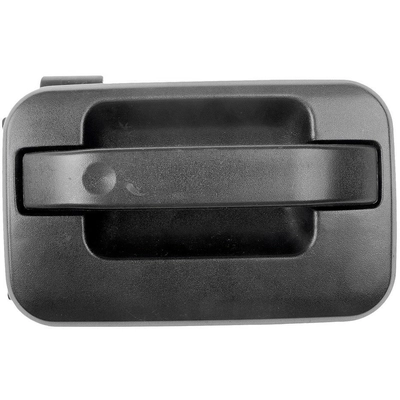 DORMAN - 80638 -  Exterior Door Handle pa1