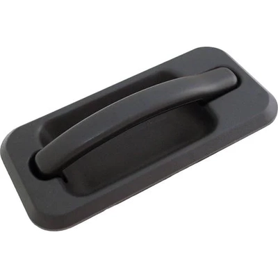 Exterior Door Handle by DORMAN - 83395 pa2