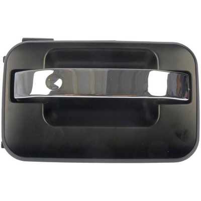 Exterior Door Handle by DORMAN/HELP - 80198 pa6