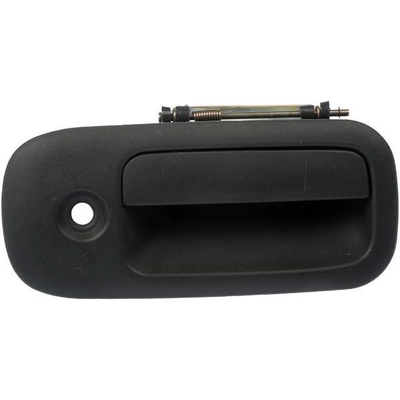 Exterior Door Handle by DORMAN/HELP - 80589 pa1