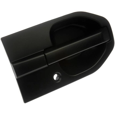 Exterior Door Handle by DORMAN/HELP - 81498 pa1