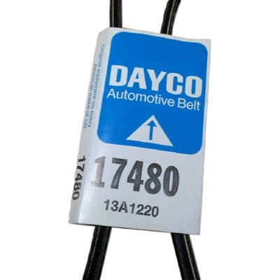 Fan Belt by DAYCO - 17480 pa16