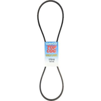 Fan Belt by DAYCO - 17510 pa14