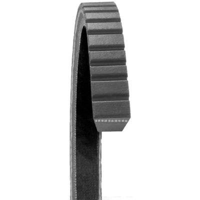 DAYCO - 17570 - Accessory Drive Belt pa2