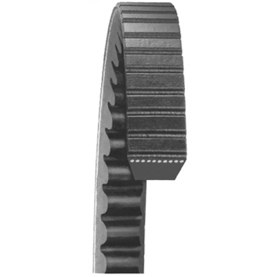 DAYCO - 22520 - Accessory Drive Belt pa2