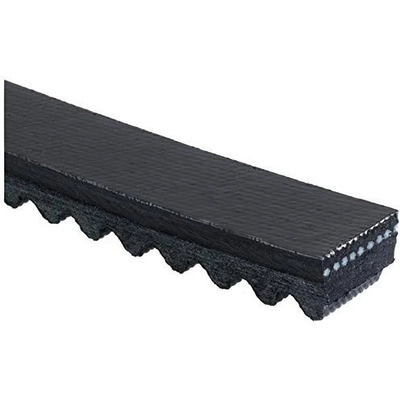 Fan Belt by GATES - TR22461 pa9