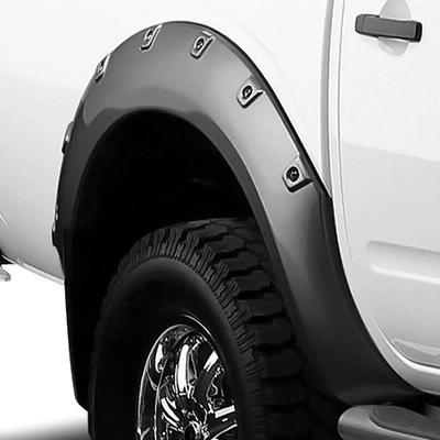 Fender Flare Or Flares by BUSHWACKER - 20963-02 pa1