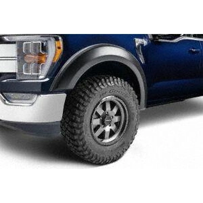 Fender Flare Or Flares by BUSHWACKER - 20964-02 pa8