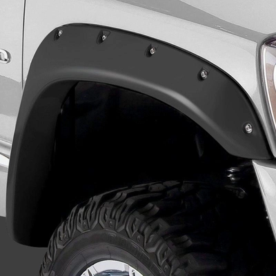 Fender Flare Or Flares by STAMPEDE - 8412-2 pa3