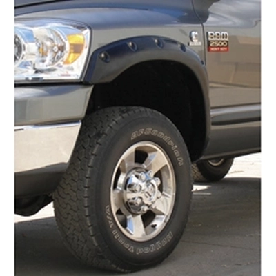 Fender Flare Or Flares by STAMPEDE - 8416-2 pa2
