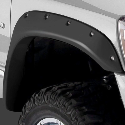 Fender Flare Or Flares by STAMPEDE - 8420-5 pa1