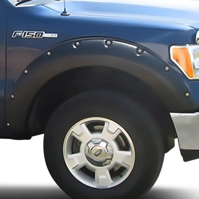 Fender Flare Or Flares by STAMPEDE - 8422-2 pa4
