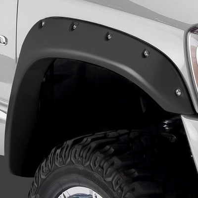 Fender Flare Or Flares by STAMPEDE - 8423-2 pa6