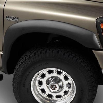 Fender Flare Or Flares by STAMPEDE - 8631-2 pa1