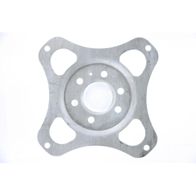 Flex Plate pa2