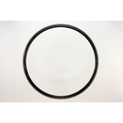 Flywheel Ring Gear pa1
