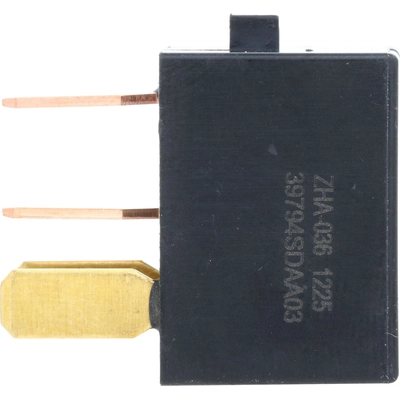Fog Lamp Relay by HOLSTEIN - 2RSW1009 pa1