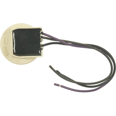 Fog Lamp Socket by BLUE STREAK (HYGRADE MOTOR) - S1489 pa5