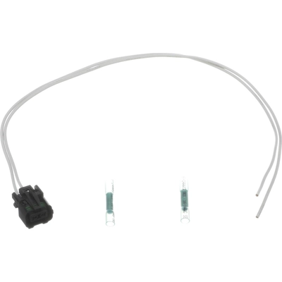 BLUE STREAK (HYGRADE MOTOR) - S1824 - Fog Lamp Socket pa6