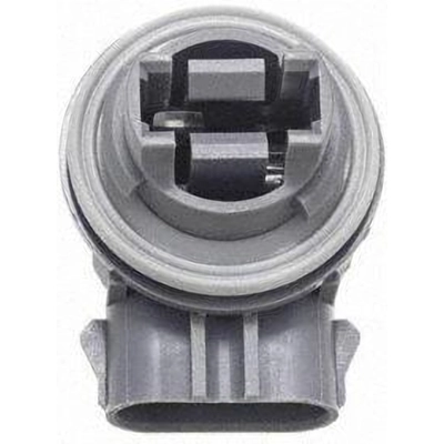 BLUE STREAK (HYGRADE MOTOR) - S807 - Fog Lamp Socket pa31