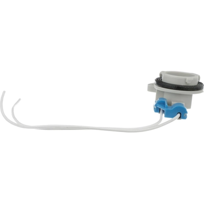 BWD AUTOMOTIVE - PT143 - Tail Lamp Socket pa4