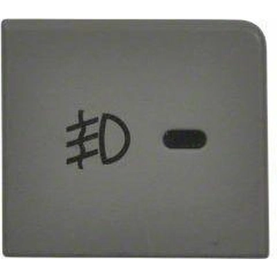 Fog Lamp Switch by BLUE STREAK (HYGRADE MOTOR) - FLA1056 pa1