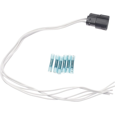 Fog Lamp Switch Connector by BLUE STREAK (HYGRADE MOTOR) - S958 pa1