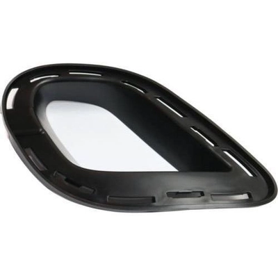 Fog Light Bezel - CH1038170 pa1