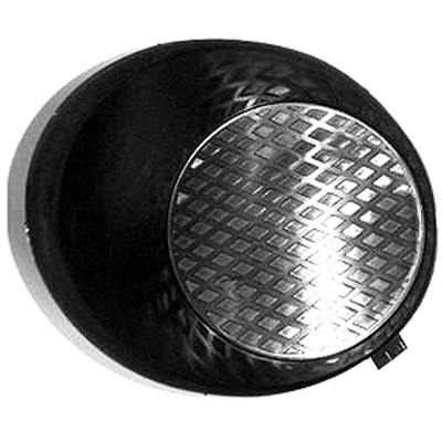 Fog Light Cover - TO1038123 pa2