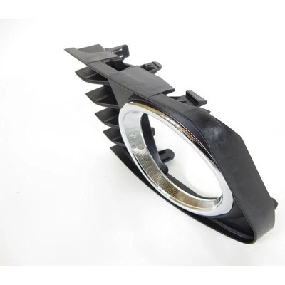 Fog Light Cover - TO1038163 pa1