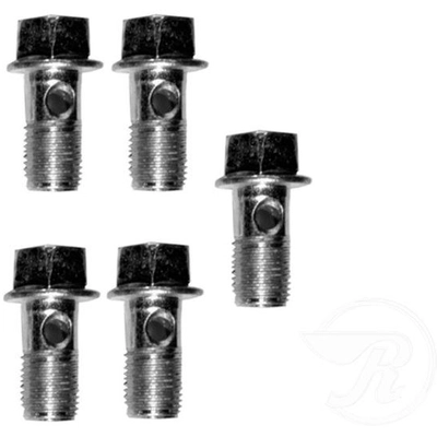 Front Banjo Bolt (Pack of 5) by RAYBESTOS - H5376 pa1