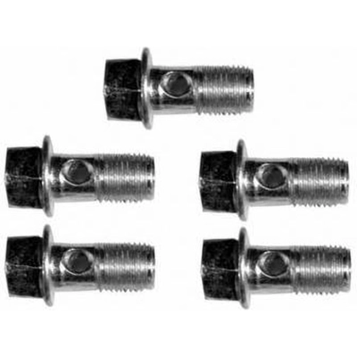 Front Banjo Bolt (Pack of 5) by RAYBESTOS - H5376 pa4
