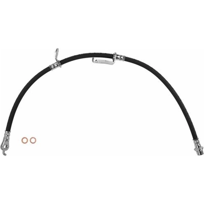 Front Brake Hose by BRAKEBEST - BH621064 pa1