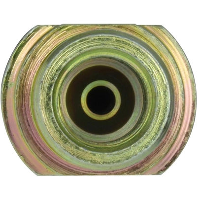 Front Brake Hose by CENTRIC PARTS - 150.44155 pa6