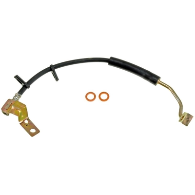 DORMAN/FIRST STOP - H380556 - Front Brake Hose pa1