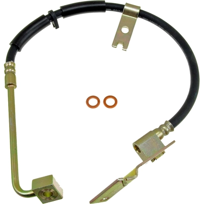 DORMAN/FIRST STOP - H381160 - Front Brake Hose pa2