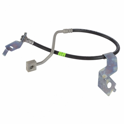 Front Brake Hose by MOTORCRAFT - BRHF62 pa1