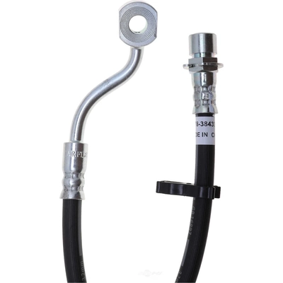 Front Brake Hose by RAYBESTOS - BH384331 pa2