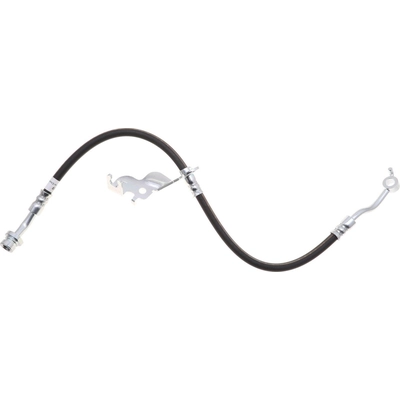 Front Brake Hose by RAYBESTOS - BH384519 pa1