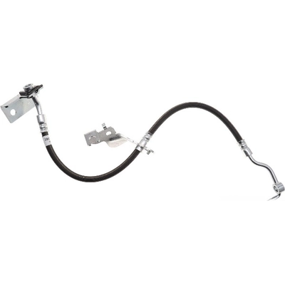 Front Brake Hose by RAYBESTOS - BH384520 pa1