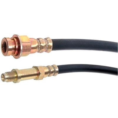 Front Brake Hose by RAYBESTOS - BH13841 pa14