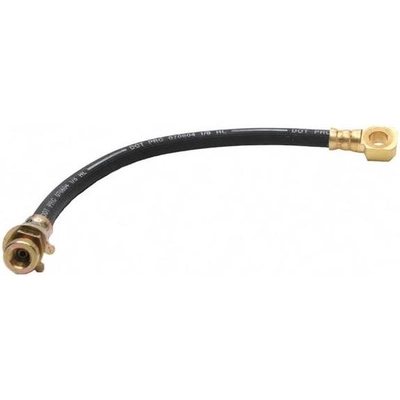 Front Brake Hose by RAYBESTOS - BH36691 pa2