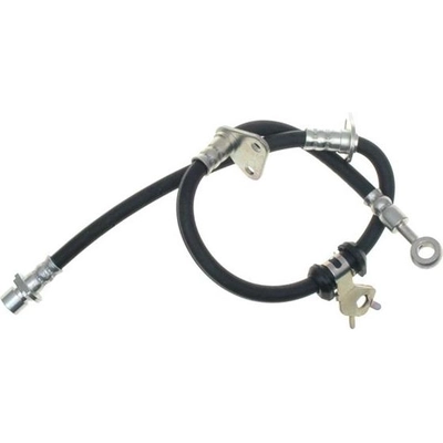 Front Brake Hose by RAYBESTOS - BH380059 pa14